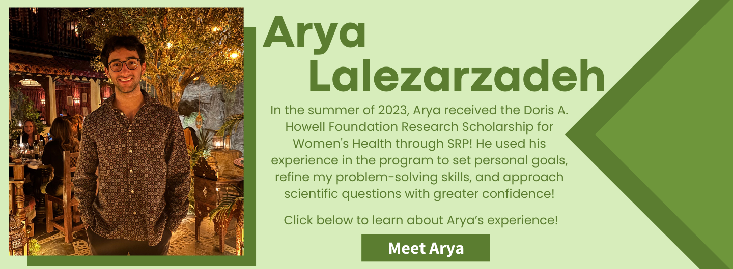 Arya Lalezarzadeh Banner